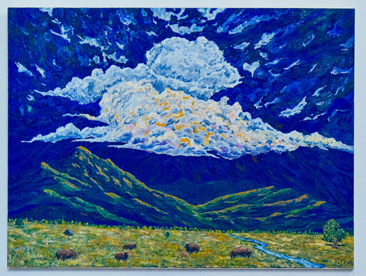 Hardly Strictly Bison