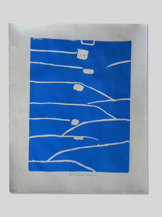 Red-Masked Parakeet (Print)