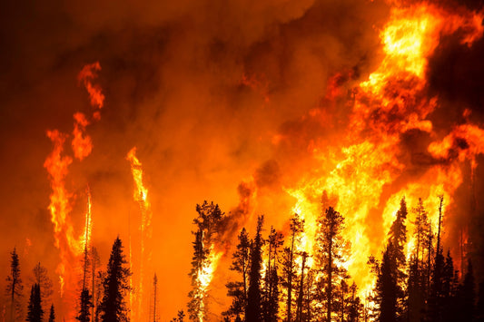 Fall 2020 - California Wildfires