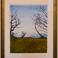 Presidio 1