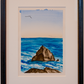 Seal Rock